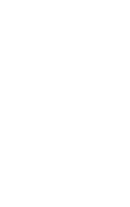 High Animal Protein
